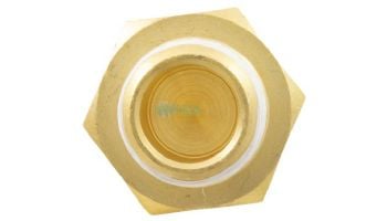 Pentair High Limit Switch for Heater Electrical System | 42001-0063S