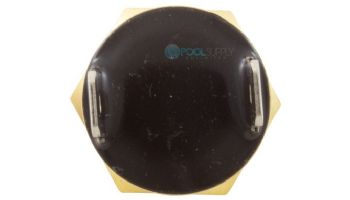 Pentair High Limit Switch for Heater Electrical System | 42001-0063S