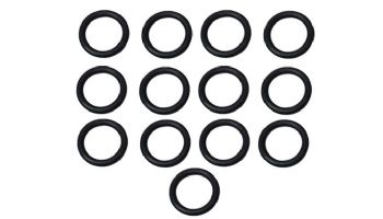 Pentair MasterTemp & Sta-Rite Max-E-Therm Tube Sheet Coil Assembly Kit | Models 400NA & 400LP | Prior to 1-12-09 | 77707-0234