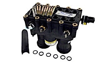 Pentair MasterTemp & Sta-Rite Max-E-Therm Heater Manifold Assembly 400NA 400LP Models | 77707-0016
