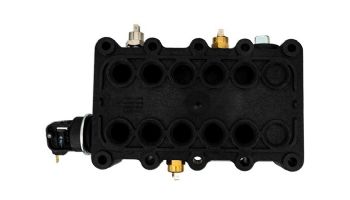 Pentair MasterTemp Heater Manifold Assembly | 300NA 300LP Models | 77707-0015