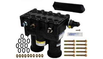 Pentair MasterTemp Heater Manifold Assembly | 300NA 300LP Models | 77707-0015