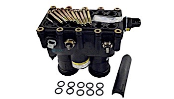 Pentair MasterTemp & Sta-Rite Max-E-Therm Heater Manifold Assembly 400NA 400LP Models | 77707-0016