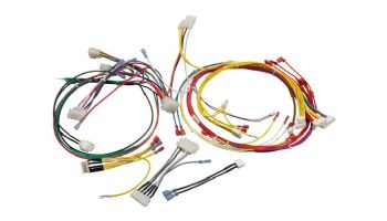 Pentair Wire Harness Replacement Kit | 42001-0104S | 461107