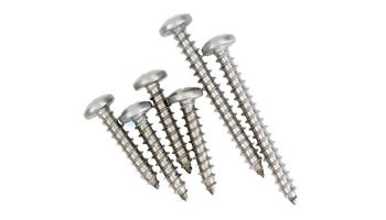 Pentair Screw Kit Great White (GW9500) | GW9504