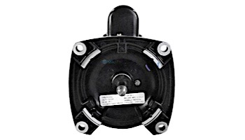 Pentair Replacement Motor Up Rated | 1.5HP 230V 2 Speed | A100FLL-Y