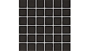 National Pool Tile Unglazed 1x1 Series | Raven Black | 0A3411GMS1P