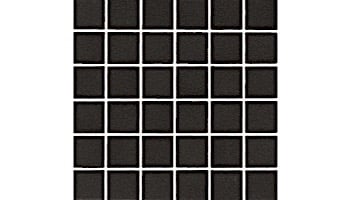 National Pool Tile Unglazed 1x1 Series | Raven Black | 0A3411GMS1P