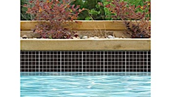 National Pool Tile Unglazed 1x1 Series | Raven Black | 0A3411GMS1P