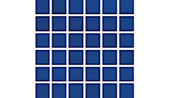 National Pool Tile Unglazed 1x1 Series | Sapphire Sky | 0R0811GMS1P
