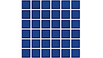 National Pool Tile Unglazed 1x1 Series | Sapphire Sky | 0R0811GMS1P