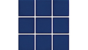 National Pool Tile Unglazed 2x2 Series #A34 | Raven Black | 0A3422GMS1P