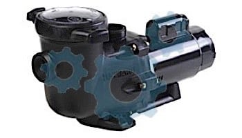 Hayward TriStar Energy Efficient 2-Speed Pool Pump | 2.5HP Max Rate 230V | SP3220X252