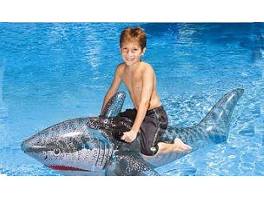 Ride On Pool Shark 72inches | 9045