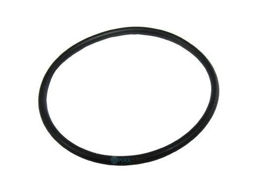 Pentair O-Ring for Index Plate | 35505-1246