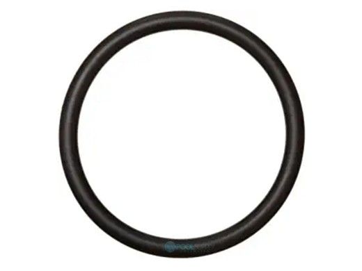 Pentair Plastic Slide Valve O-Ring | 35505-1318