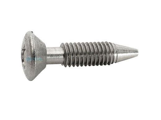 Pentair Retaining Screw for Light Assembly | 37337-0079