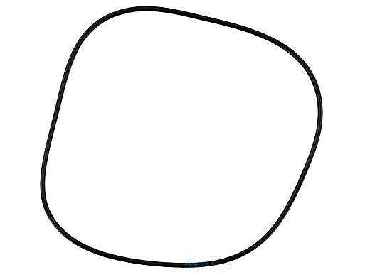 Zodiac O-Ring For Tank C Series | R0350600