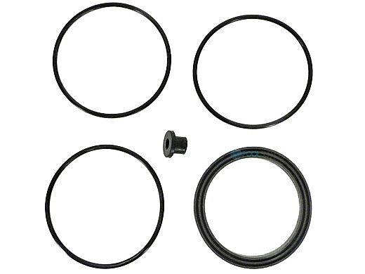 Zodiac O-Ring Kit CJ200/CJ250 | R0558300