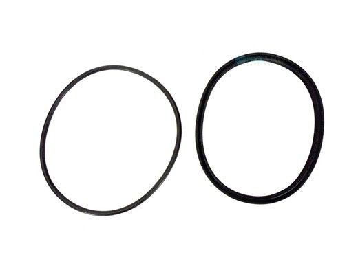 Jandy Lid Seal with O-Ring | R0449100
