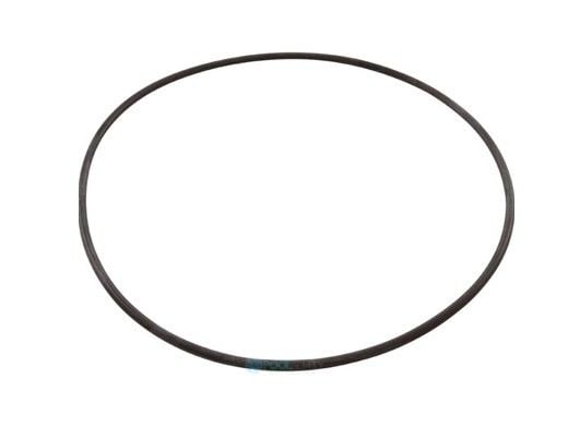 Jandy Backplate O-Ring | R0446300