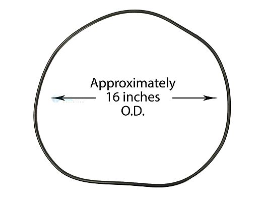 Waterway Plastics O-Ring - Lid for Clearwater II | 805-0460B