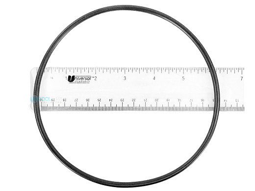 Waterway Plastics Filter Lid O-Ring | 805-0360