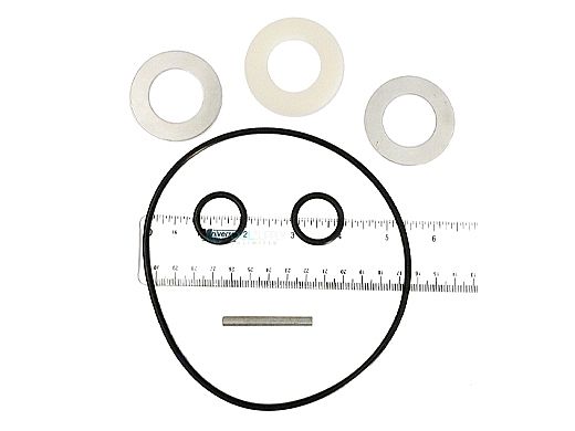 Waterway O-Ring Kit with Pin & Washer | 800-0150B