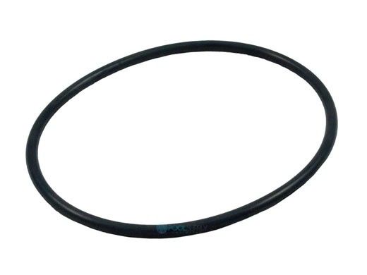 Waterway Trap Lid O-Ring | 805-0439