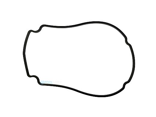 Waterway Face Plate Gasket Mini SVL | 711-1400