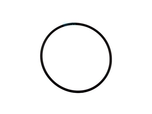 Waterway O-Ring for 2" Tailpiece Valve Cover | 805-0145