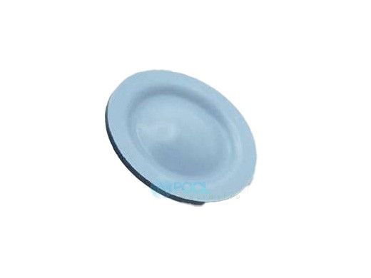 Blue-White Pump Diaphragm S/A 2.0 Standard EP/PTFE | C-406T