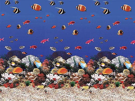 Ocean Reef 21x41' Oval Standard Gauge Unibead 52" Tall Liner | LI214152CFU