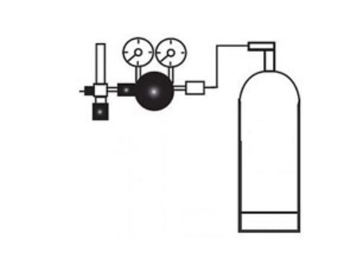 Pentair IntelliChem Chemical Controller CO2 Kit with Diffuser, Solenoid, Regulator | 714000070