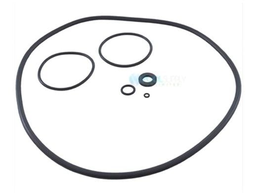 Zodiac O-Ring Set | R0466300