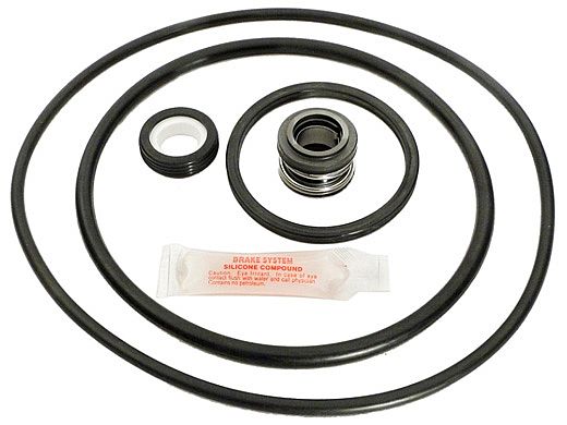 Seal & Gasket Kit for Pentair PacFab Pinnacle Pool Pumps | GO-KIT24 APCK1018