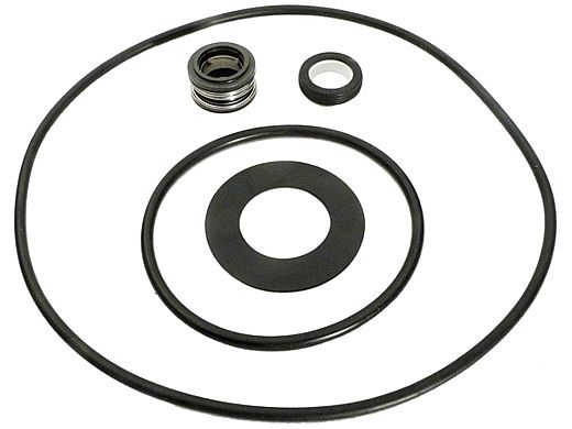 Aladdin Go Kit for Purex C Series Pump | Seals & Gaskets GO-KIT31 | APCK1026