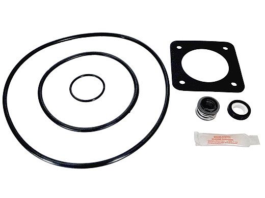 Aladdin Go Kit for Sta-Rite Max-E-Glas and Dura-Glas 1998 to present | Seals & Gaskets GO-KIT54 | APCK1051
