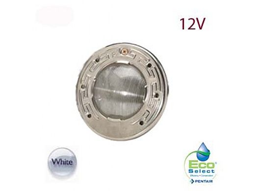 Pentair Intellibrite 5G WHITE Spa Light | 12V LED 100W 30' Cord | 640081 640150