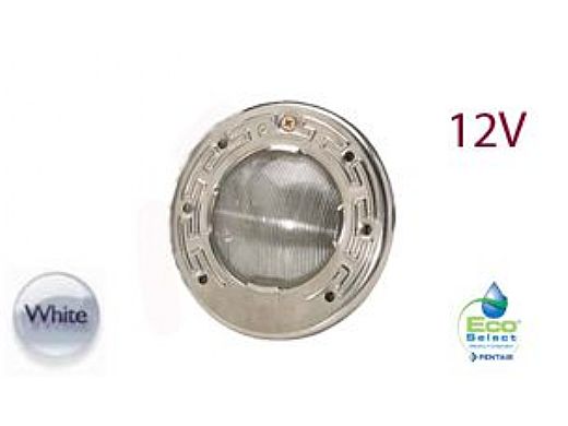Pentair Intellibrite 5G WHITE Spa Light | 12V LED 100W 50' Cord | 640082 640151