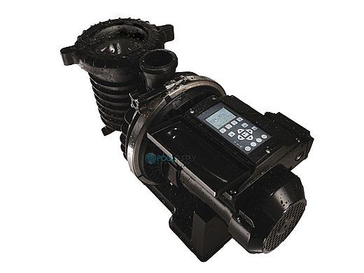 Sta-Rite IntelliPro 3HP Programmable Variable Speed Pool Pump | Time Clock Included | P6E6VS4H-209L