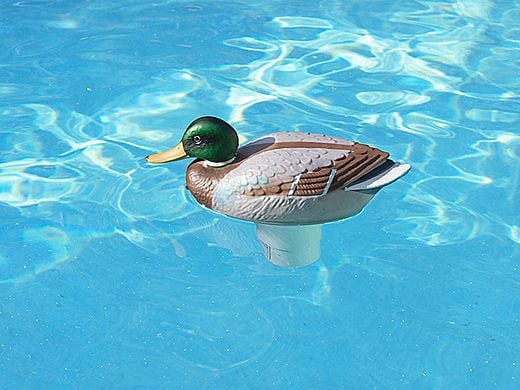 Poolmaster Clori-duck Mallard Chlorine Dispenser | 32130