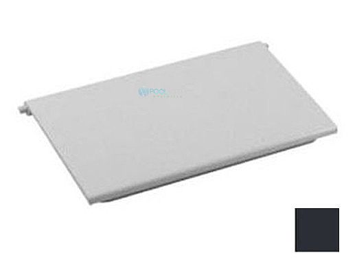 AquaStar Skimmer Weir Plate with 2 Clips | Black | SKWD102