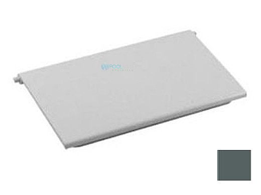 AquaStar Skimmer Weir Plate with 2 Clips | Dark Gray | SKWD105