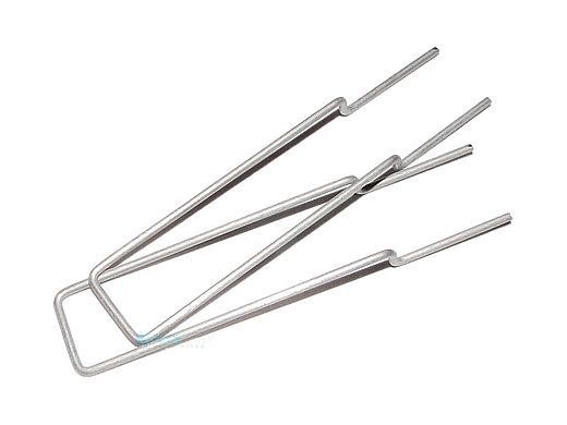 Hayward Tigershark Lid Clip Set of 2 | RCX11400