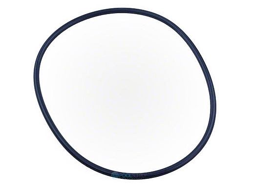 Pentair Whisperflo XF Seal Plate O-Ring | 351446
