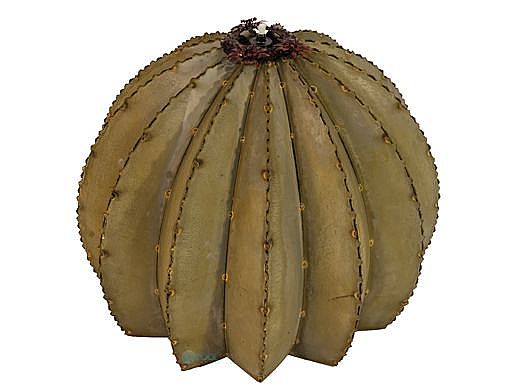 Desert Steel Golden Barrel Cactus wit Torch | Large | 350-030VT