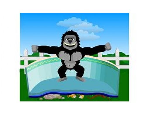 Gorilla Floor Padding 12'X24' Rectangle | NL142