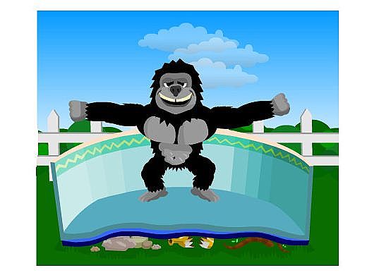 Gorilla Floor Padding 16'X24' Rectangle | NL144