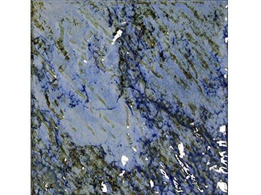 Fujiwa Tile Planet Series 6x6 | Albi | Planet-662